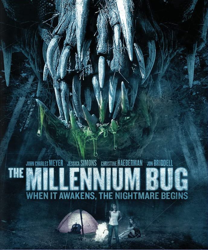 The millennium bug