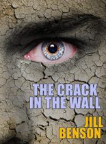 The Crack in the Wall by Jill Benson Available April 4