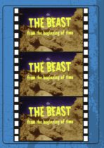 The Beast From The Beginning Of Time (1965) Available July 11