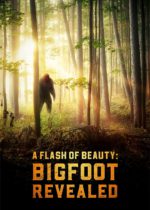 A Flash of Beauty: Paranormal Bigfoot (OFFICIAL TRAILER)