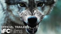 Out Come the Wolves – Official Trailer | HD | IFC Films