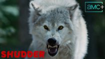 Out Come The Wolves | Official Trailer | Shudder
