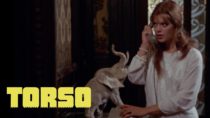 Torso | Clip – Red and black | 4K