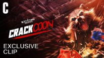 Crackcoon | Exclusive Clip: High