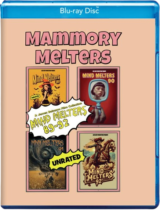 Mammory Melters: Mind Melters 89-92 Available February 4