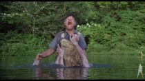 The Nesting (1981) [Vinegar Syndrome 4K UHD + Blu-ray Promo Trailer]
