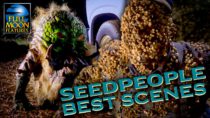Killer Pods From Outer Space! Seedpeople (1992) Best Scenes | Full Moon Features