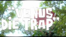 Venus DIE-Trap Official Color Movie Trailer SRS Cinema Astronomic Studios