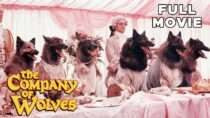 The Company Of Wolves | FULL MOVIE | Angela Lansbury, Stephen Rea | Cult Fantasy Horror Werewolves