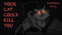 Snarled – Your Cat Could Kill You // Something Scary