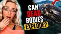 Lauren the Mortician – The Science of Exploding Bodies | Mortician Explains