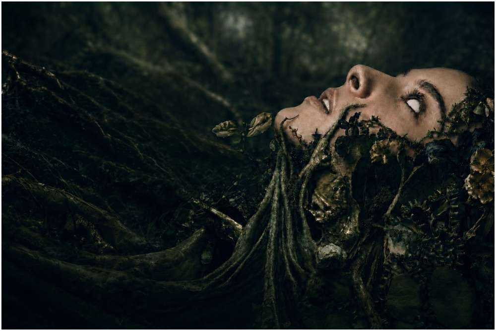 Cher key art