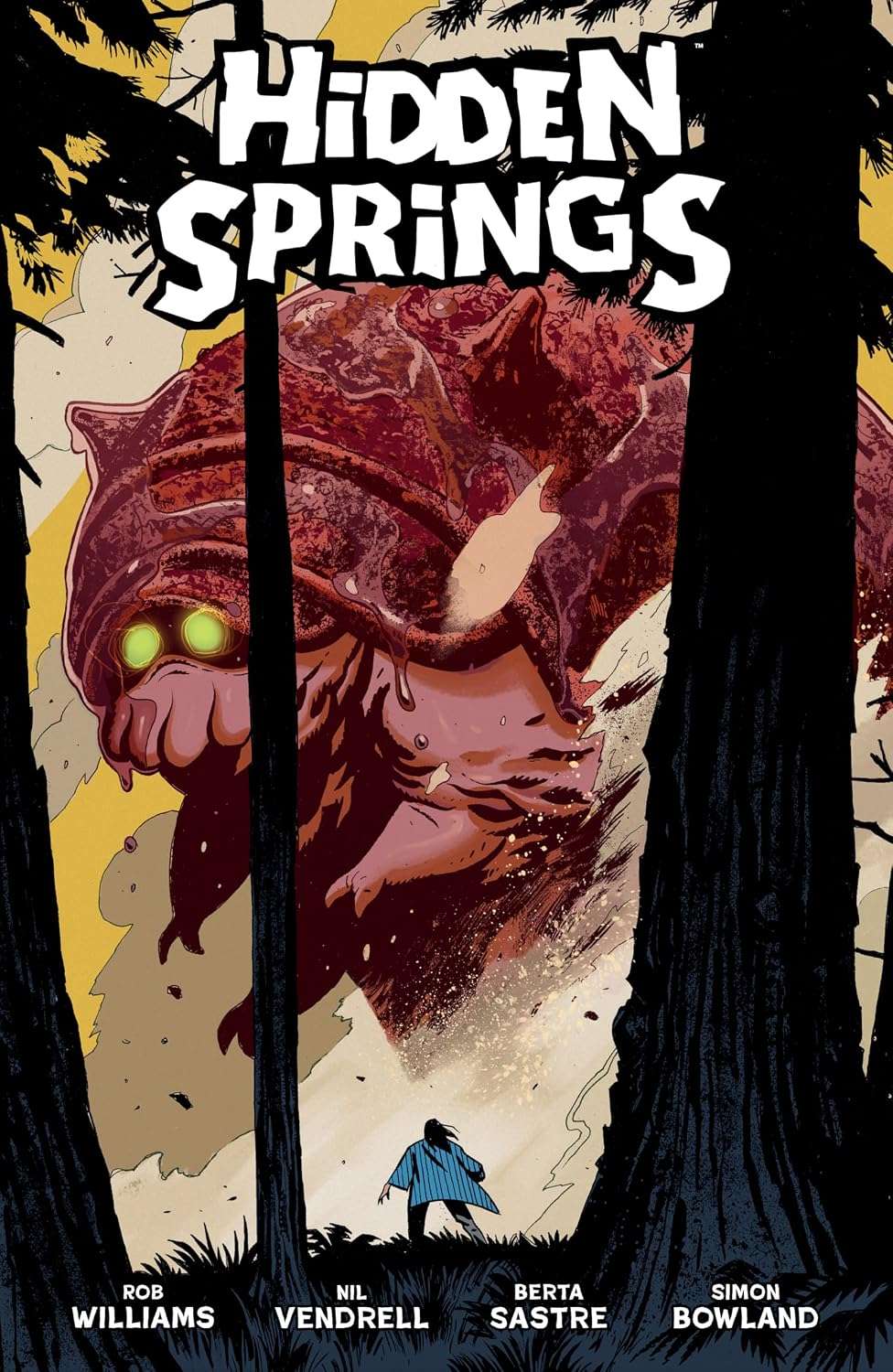 Hidden Springs cover