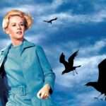 The Birds key art