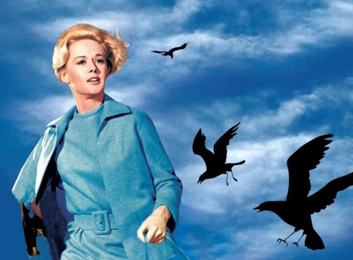 The Birds key art
