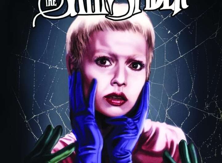 The Satin Spider (1985) cover