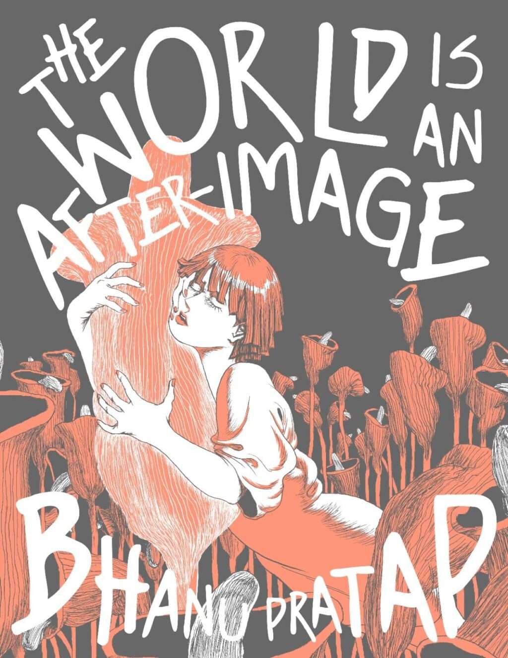 The World Is an After-Image cover