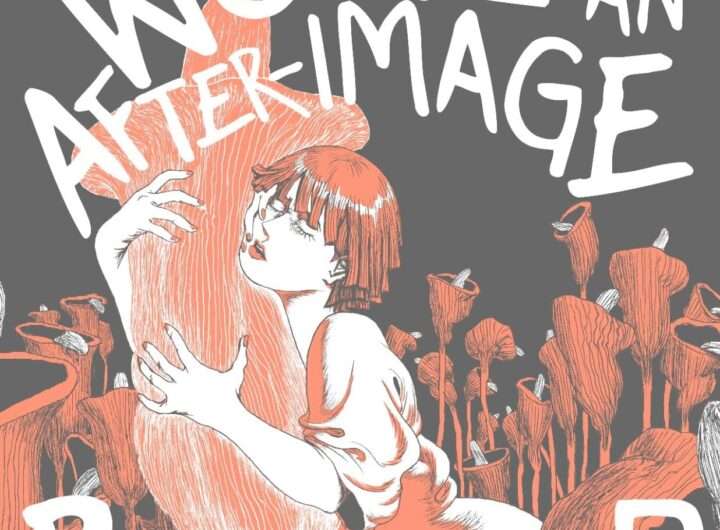 The World Is an After-Image cover