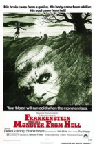 Horror History: Wednesday, June 12, 1974: Frankenstein and the Monster from Hell was released in theaters