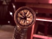 Horror History: Sunday, July 10, 1988: “Tales From The Darkside” episode “Hush” premiered